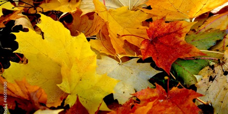 (SZTUCZNO)ZŁOTE MYŚLI